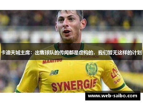 卡迪夫城主席：出售球队的传闻都是虚构的，我们暂无这样的计划