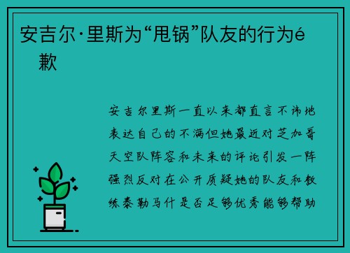 安吉尔·里斯为“甩锅”队友的行为道歉